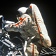 Illustration for article titled Svetlana Savitskaya Became The First Woman To Walk In Space In 1984